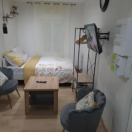 Apartamento Sweet / Circuit 24H / Moto Gp / Antares / Oasis - Centre Des Expositions / Boulerie Jump Le Mans Exterior foto